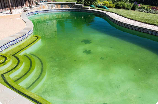 Pool Cleaning Items